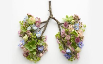 Três técnicas de respiração para controlar o estresse e turbinar seu bem-estar